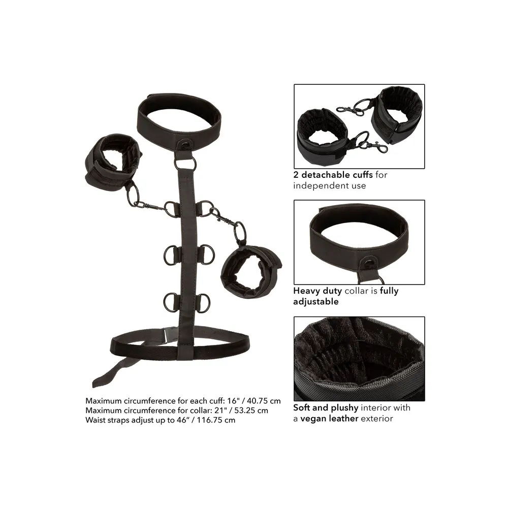 Boundless Collar Body Restraint - Image 3